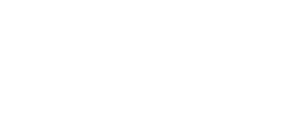 ISCE STORE